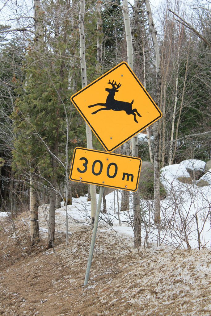 panneau attention aux caribou au Québec